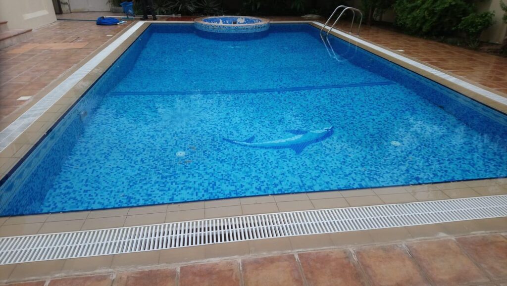 WhatsApp Image 2025-02-26 at 08.30.03_82f6497e